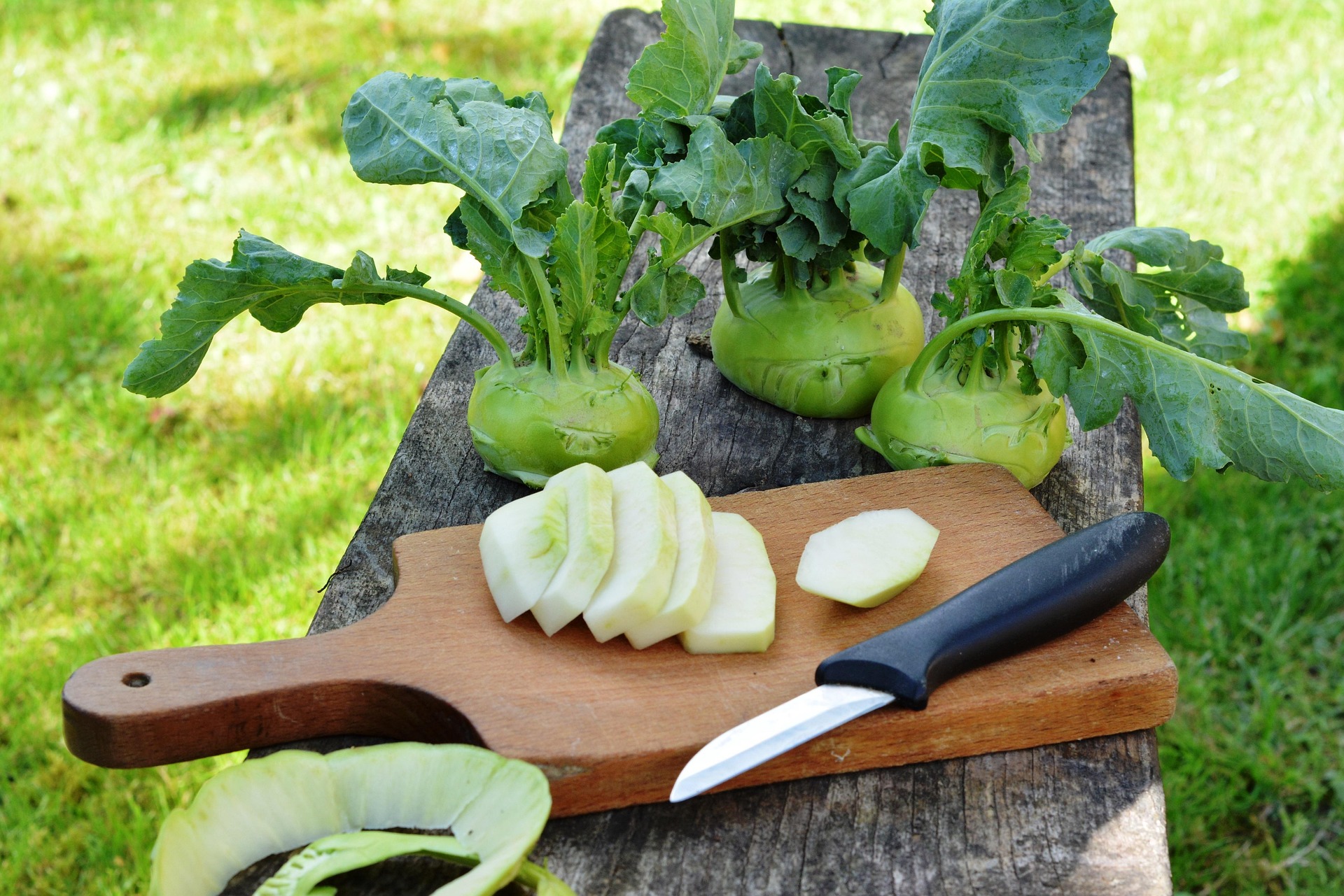 סרטון שיווקי